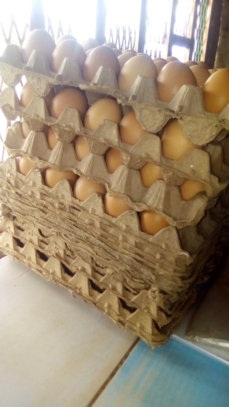 Selling eggs