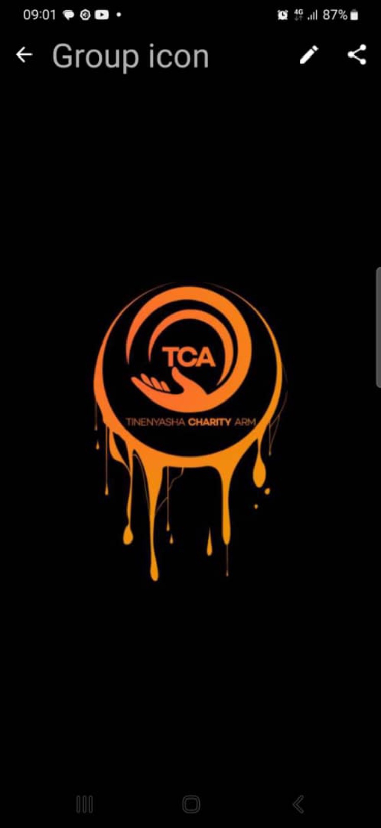 Tinenyasha Charity Arm 